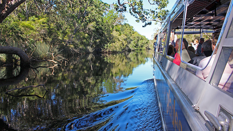 Explore the Noosa Everglades with by canoe and boat on the popular Cruise N' Canoe day tour ex Noosa.